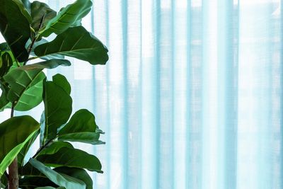 Curtain Systems, SG 5600, Colorama 1, Virgin Money, Glasgow, Scotland, United Kingdom